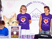 Adoptuj Warszawiaka  Wydarzenie promujące adopcję zwierząt. Organizator: Schronisko dla Bezdomnych Zwierząt "Na Paluchu". 18 sierpnia 2019, Park Raszyński w Raszynie. : park raszyński, adoptuj warszawiaka, na paluchu, schronisko dla zwierząt, centrum warszawy, raszyn